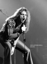 David Lee Roth