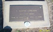 David Ludlow