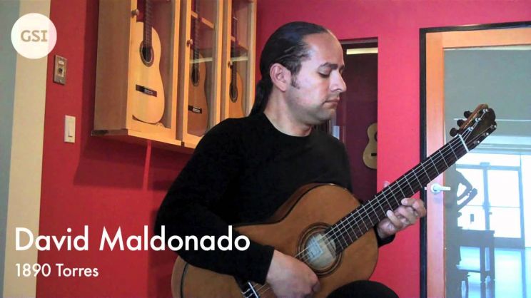 David Maldonado