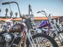 David Mann photo