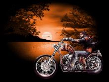 David Mann photo