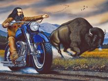 David Mann photo