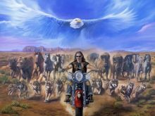 David Mann photo