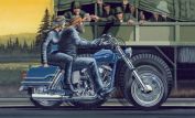 David Mann