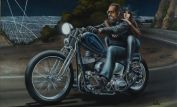 David Mann