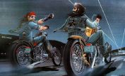 David Mann