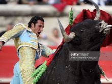 David Mora