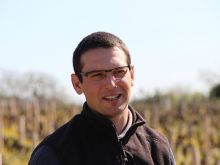 David Moreau