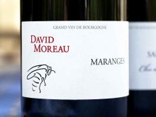 David Moreau