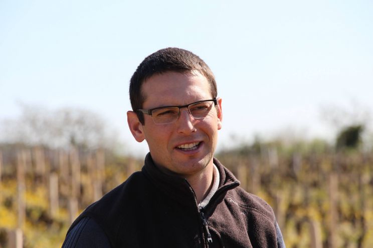 David Moreau