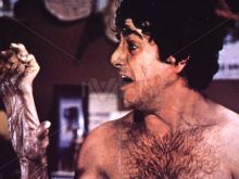 David Naughton