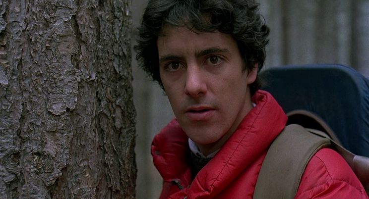 David Naughton