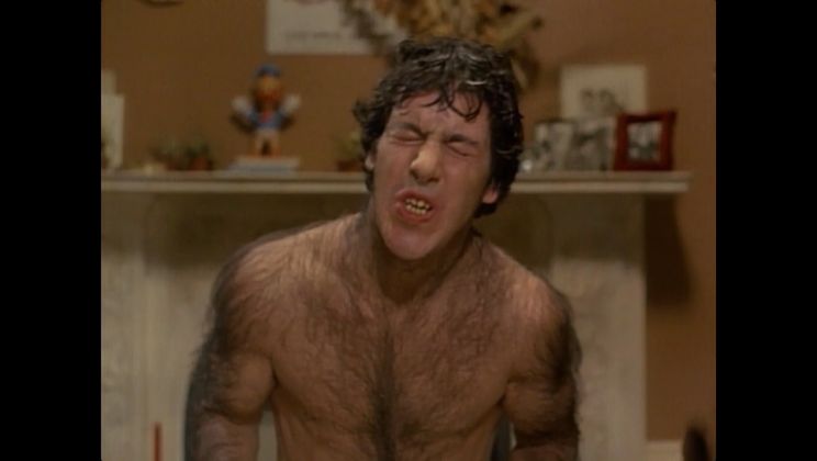 David Naughton