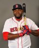 David Ortiz