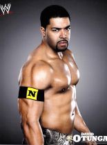 David Otunga