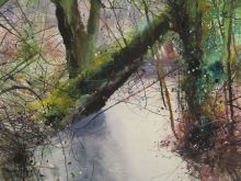 David Parfitt