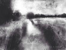 David Parfitt