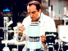 David Paymer