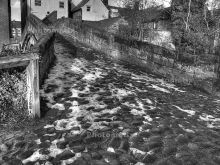 David Rowden
