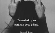 David Sant