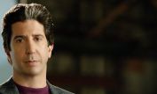 David Schwimmer