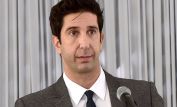 David Schwimmer