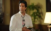 David Schwimmer