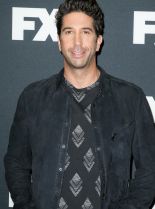 David Schwimmer