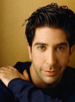 David Schwimmer