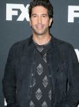 David Schwimmer