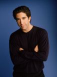 David Schwimmer