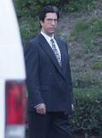 David Schwimmer