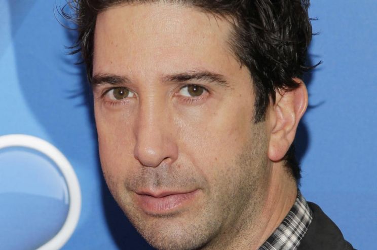 David Schwimmer