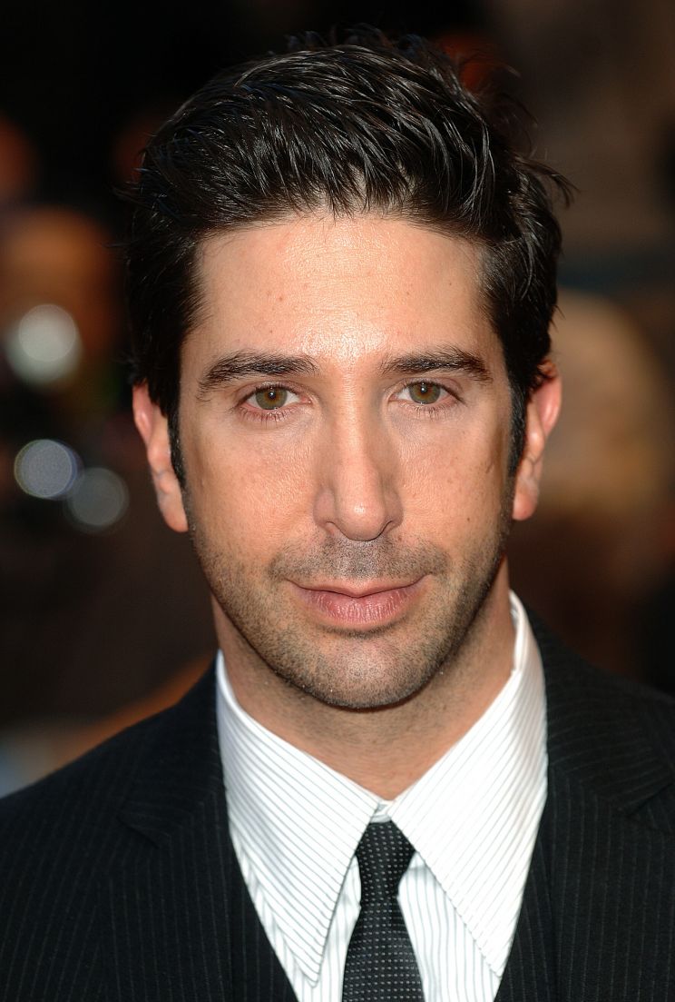 David Schwimmer