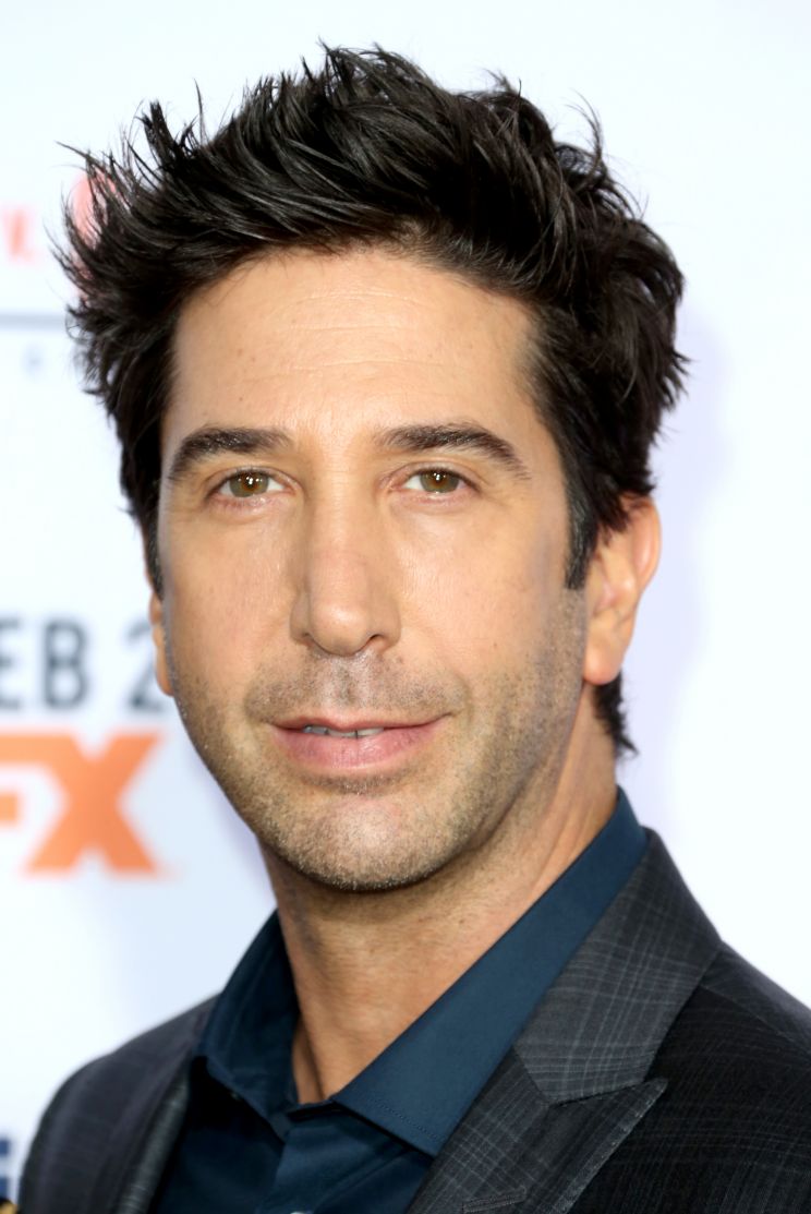 Pictures of David Schwimmer