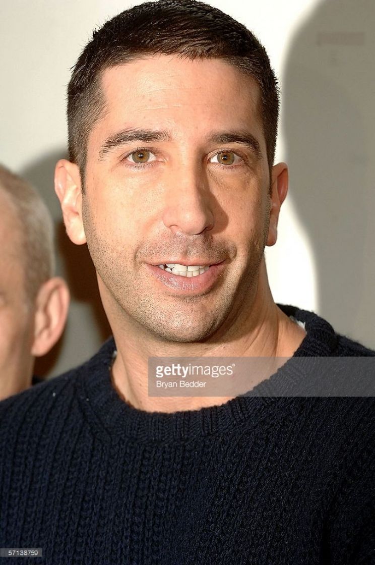 David Schwimmer