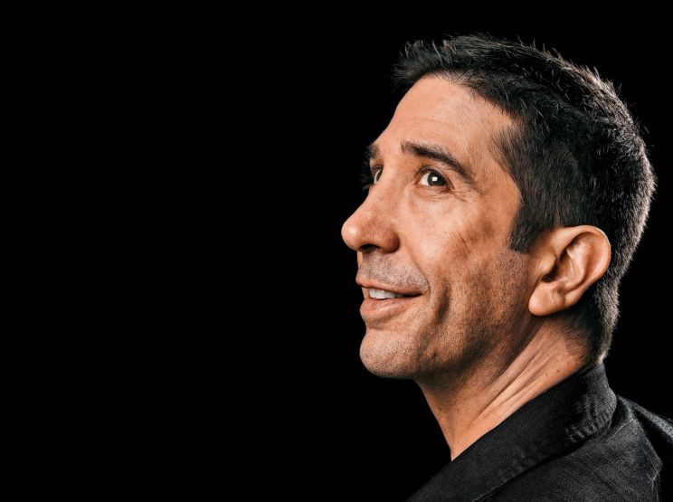 David Schwimmer