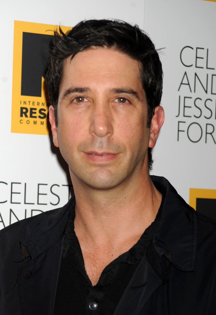 David Schwimmer