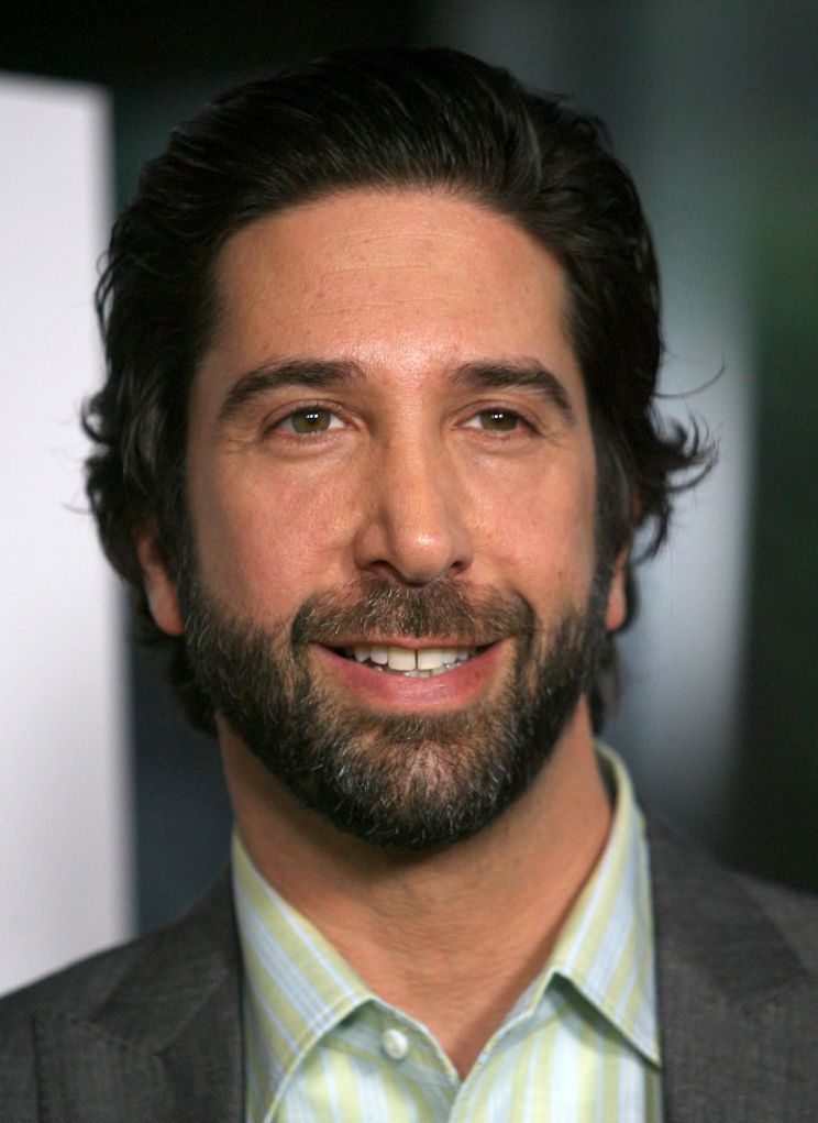 David Schwimmer