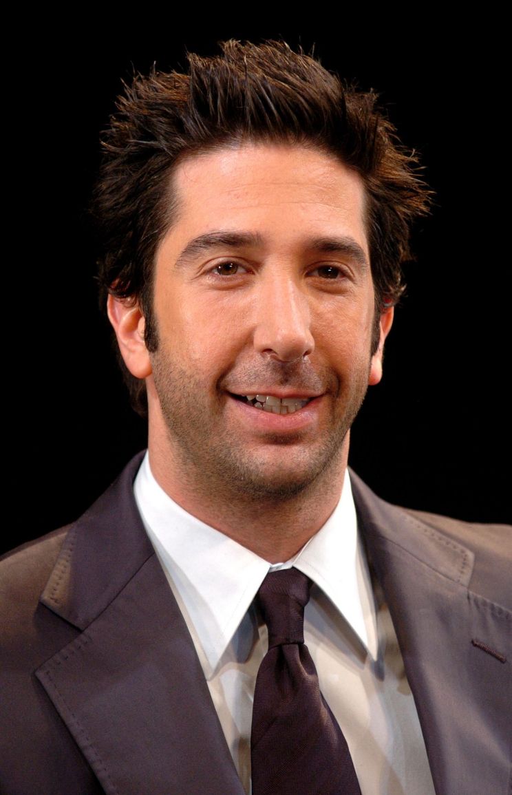 David Schwimmer