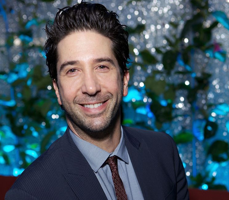 David Schwimmer