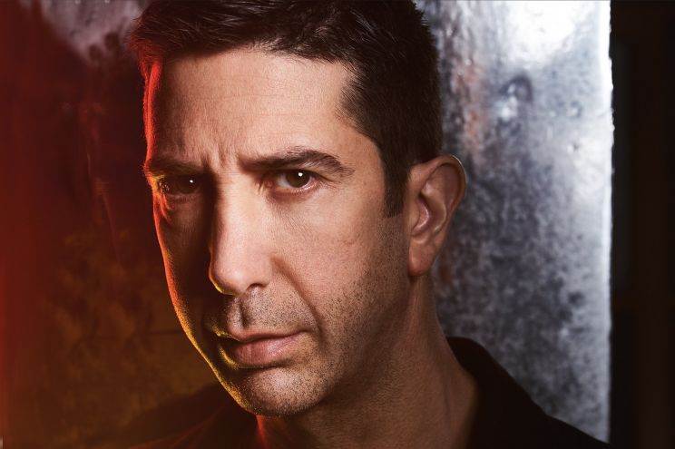 David Schwimmer