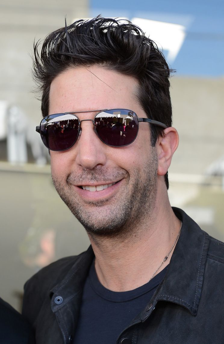 David Schwimmer