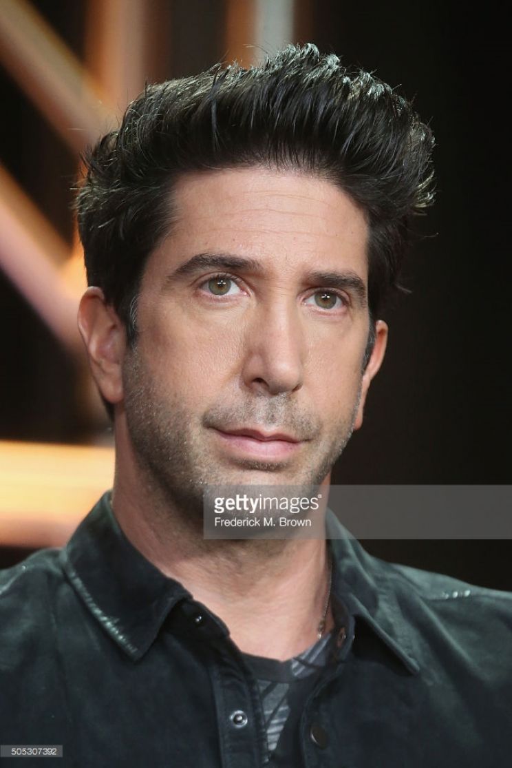 David Schwimmer