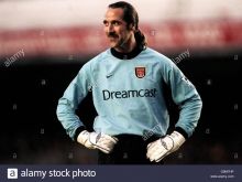 David Seaman