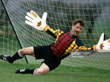 David Seaman