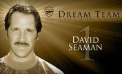 David Seaman