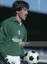 David Seaman