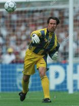 David Seaman