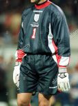 David Seaman